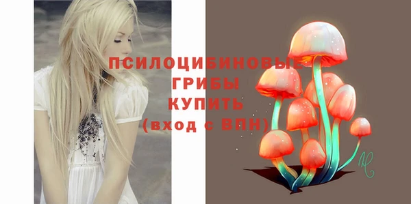 индика Армянск