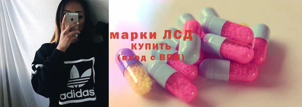 индика Армянск