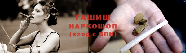 индика Армянск