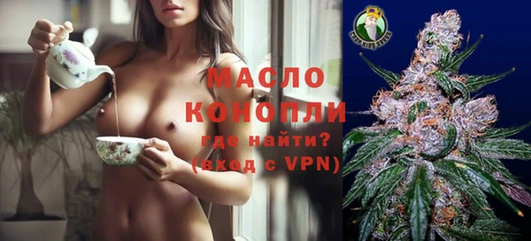 индика Армянск